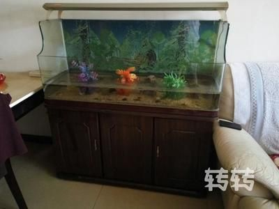 不能送魚缸什么意思呀：魚缸送人的寓意和風水講究，魚缸送人需要注意一些事項