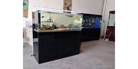 定做魚缸幾天發貨：定做魚缸的發貨時間會從哪些因素而有所不同？
