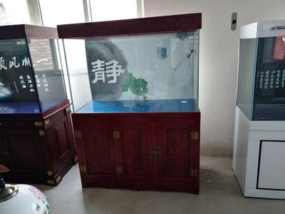 定做魚缸幾天發貨：定做魚缸的發貨時間會從哪些因素而有所不同？