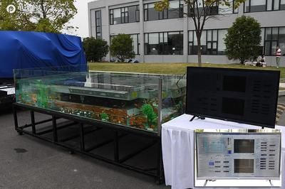 創海魚缸怎么安裝電池：創海魚缸電池安裝方法