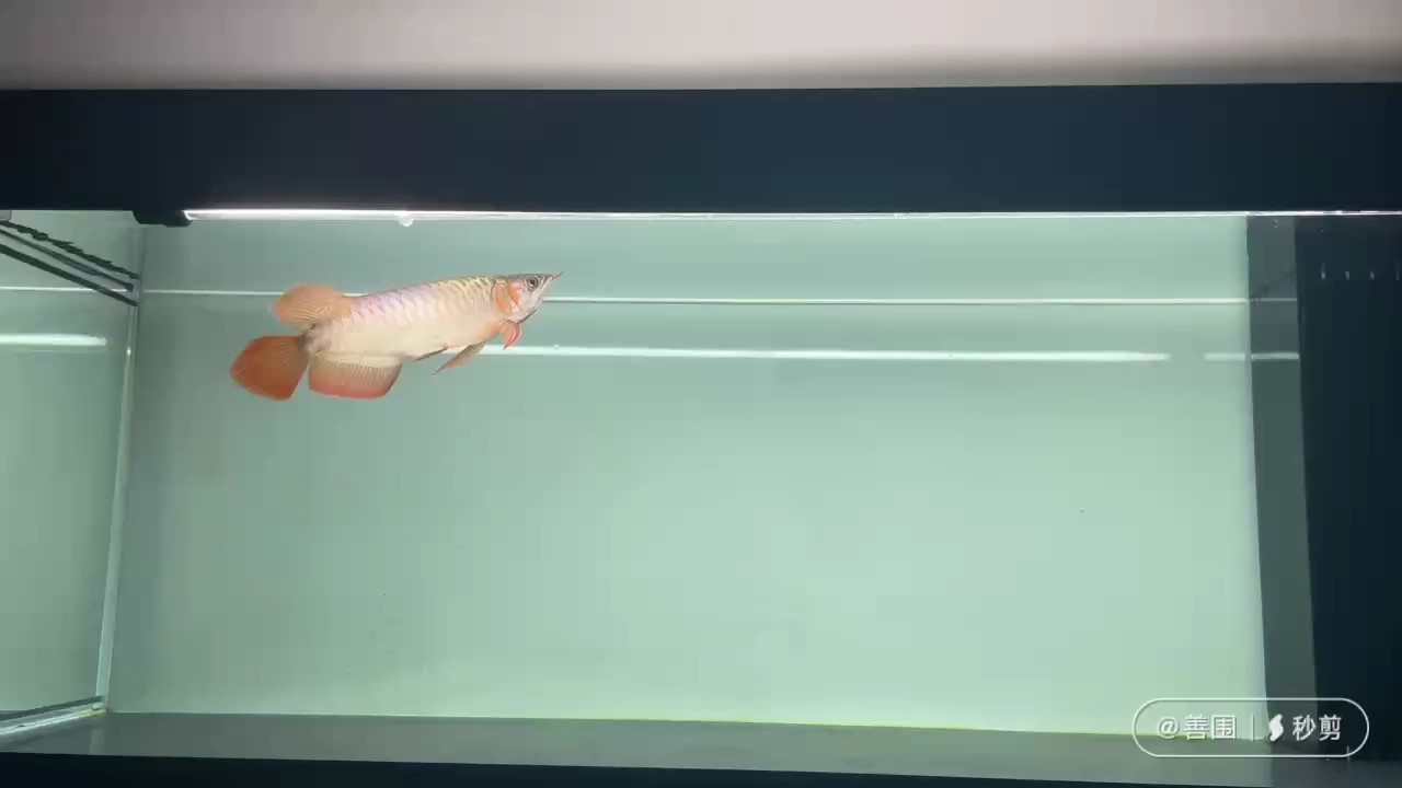 留檔