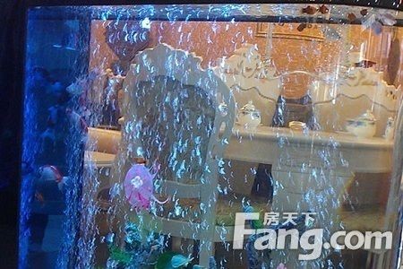 玻璃膠粘玻璃魚缸牢固嗎：玻璃膠的選擇與價格
