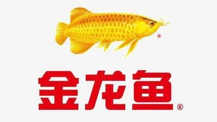 紅龍魚鱗片發黑幾天換水一次：紅龍魚鱗片發黑可能由多種原因引起紅龍魚鱗片發黑