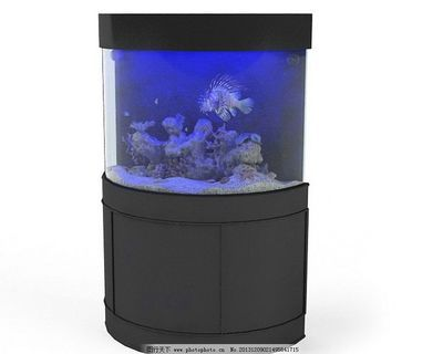 百勝魚缸品牌怎么樣知乎推薦：basion百勝魚缸品牌排行榜