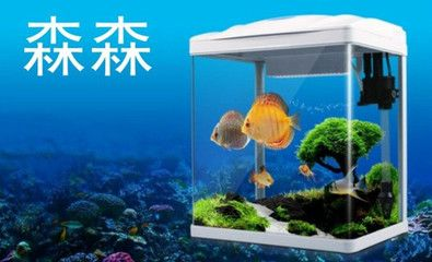 yijing魚缸怎么樣：魚缸擺放的注意事項(xiàng)在擺放魚缸時(shí)需要注意以下幾點(diǎn)