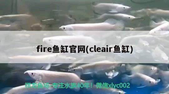 fire魚缸官網(cleair魚缸)