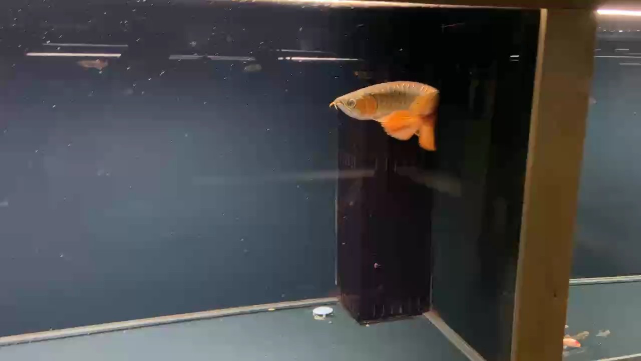 深圳秋季已到