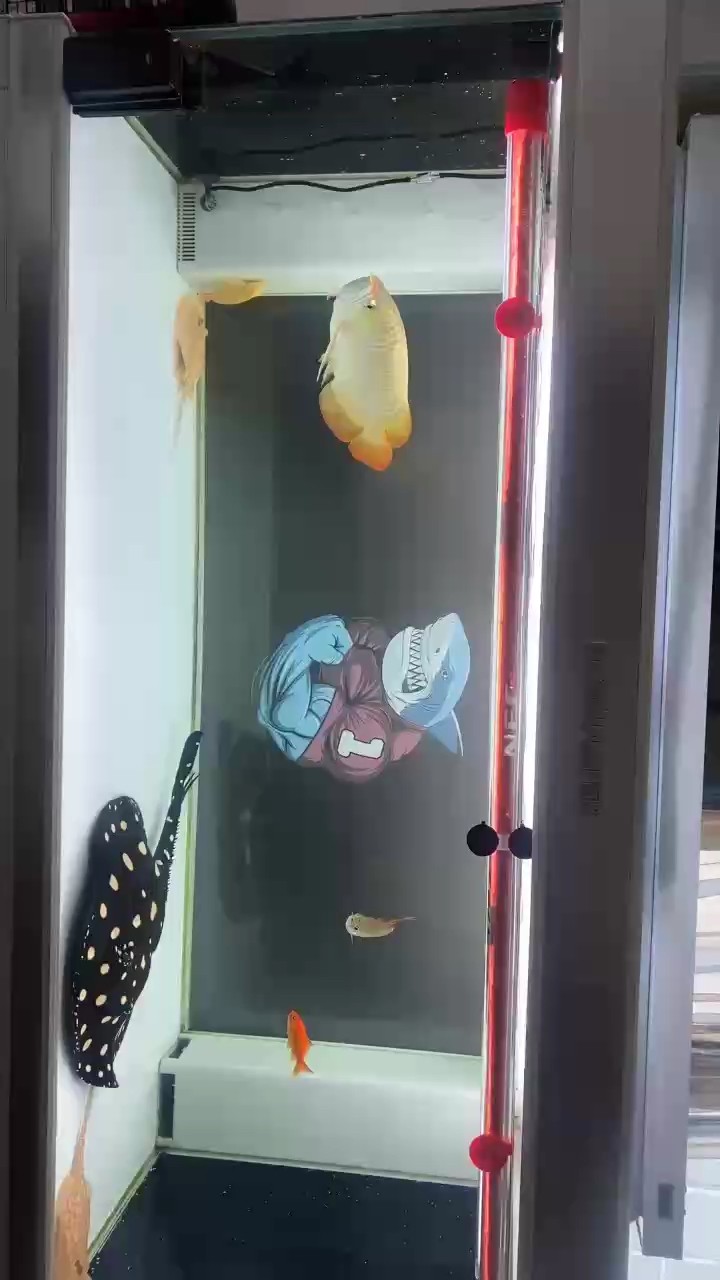 滴滴打卡