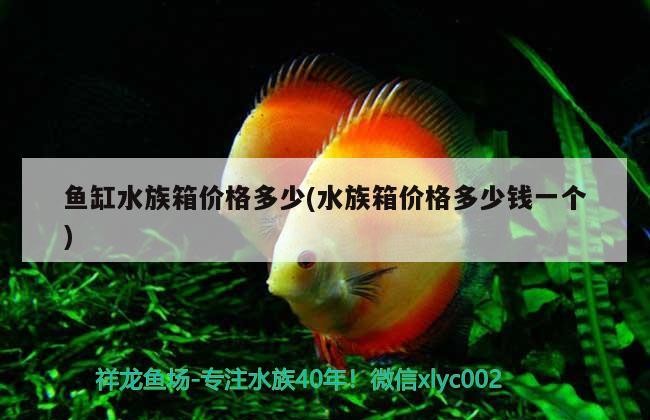 咸陽明遠汽車服務有限公司（咸陽明遠汽車服務有限公司怎么樣）