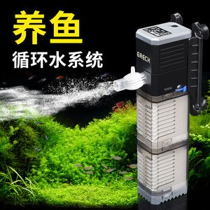 帶過濾的魚缸需要加個打氧機嗎？：帶過濾的魚缸增氧的魚缸增氧設備需要加打氧機嗎 帶過濾的魚缸需要加個打氧機嗎？：帶過濾的魚缸增氧的魚缸增氧設備需要加打氧機嗎 魚缸百科 第3張