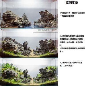 不用草缸還可以怎么給魚缸造景：不用水草泥和化妝沙進(jìn)行魚缸造景的方法