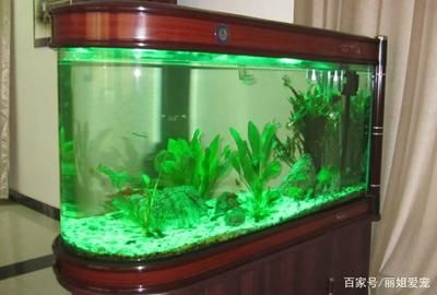 1.2米魚缸制作設(shè)計(jì)圖視頻：1.2米魚缸制作設(shè)計(jì)圖