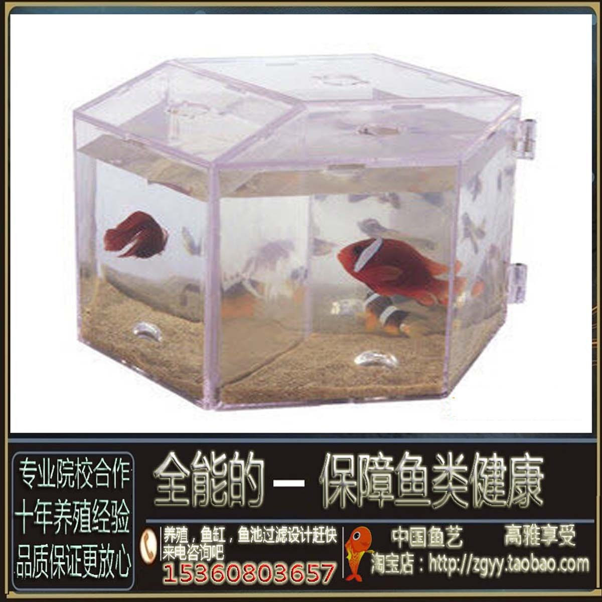 博宇魚缸怎么樣80厘米多少錢：博宇品牌的魚缸價格怎么樣