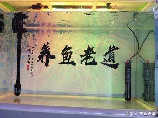 太原市萬柏林區(qū)華宜水族生態(tài)魚缸經銷部(太原水族館花鳥魚市場) 全國水族館企業(yè)名錄 第1張 太原市萬柏林區(qū)華宜水族生態(tài)魚缸經銷部(太原水族館花鳥魚市場) 太原市萬柏林區(qū)華宜水族生態(tài)魚缸經銷部(太原水族館花鳥魚市場) 全國水族館企業(yè)名錄 第1張