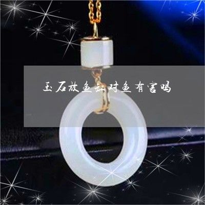 白玉石放魚缸好不好養魚：如何正確使用白玉石養魚