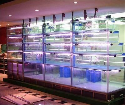 超市有賣魚缸的嗎多少錢：超市魚缸價格