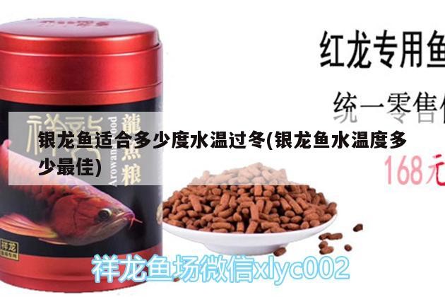 銀龍魚適合多少度水溫過冬(銀龍魚水溫度多少最佳)