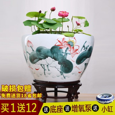 森森CAP-50電磁振動式增氧泵（森森增氧泵怎么樣） 森森CAP-50電磁振動式增氧泵（森森增氧泵怎么樣） 森森魚缸