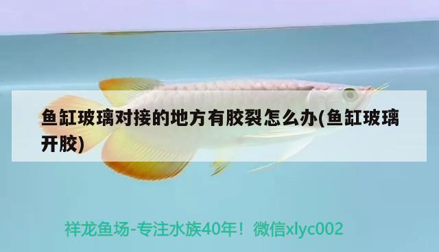 魚缸玻璃對接的地方有膠裂怎么辦(魚缸玻璃開膠)