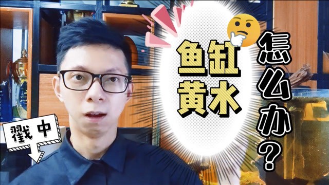 章貢區(qū)劉江南水族館（章貢區(qū)劉江南水族館地址）