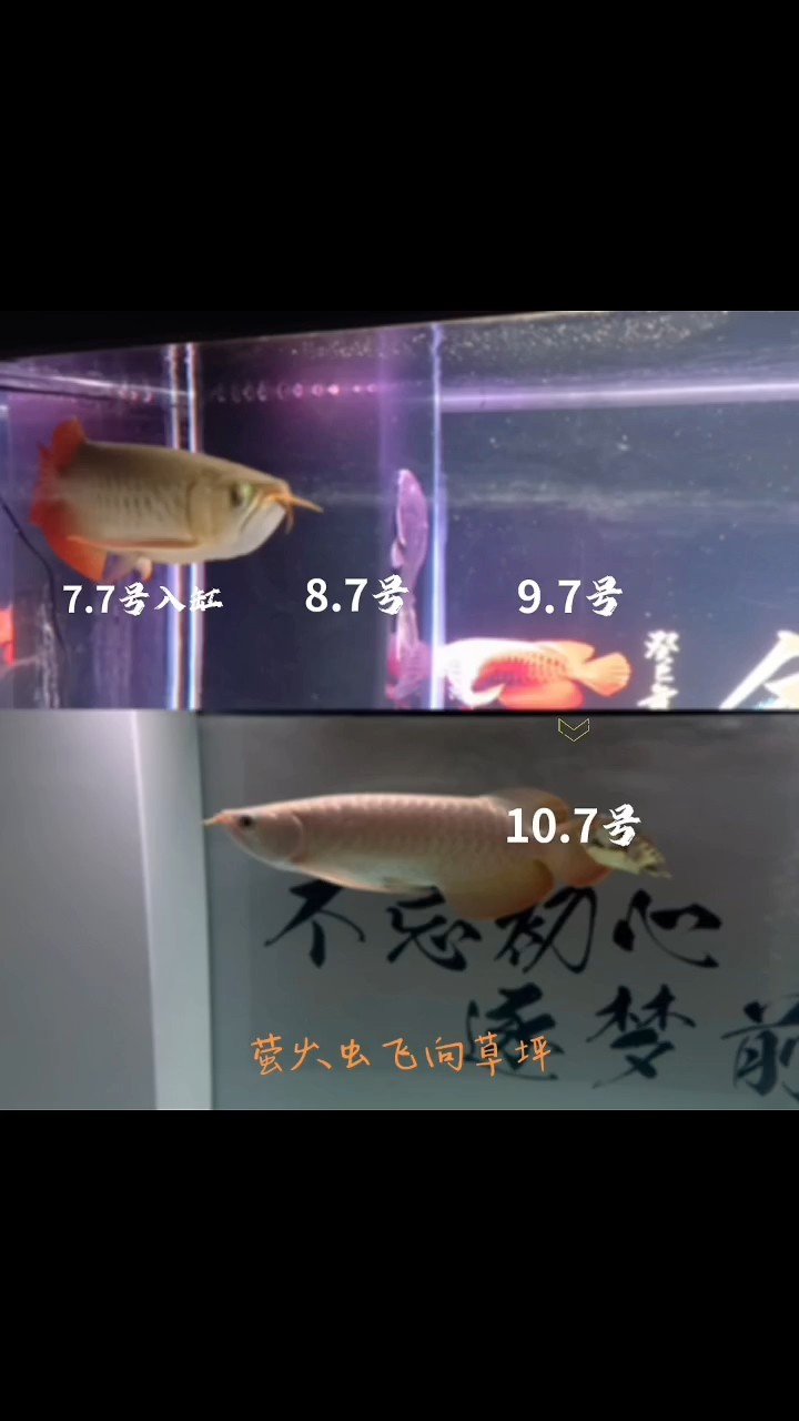 3個月過得很快