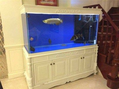 100的魚缸用多厚的玻璃好：100的魚缸用多厚的玻璃好，