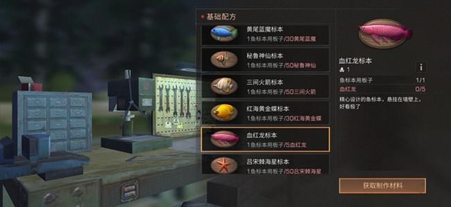 血紅龍價格明日之后