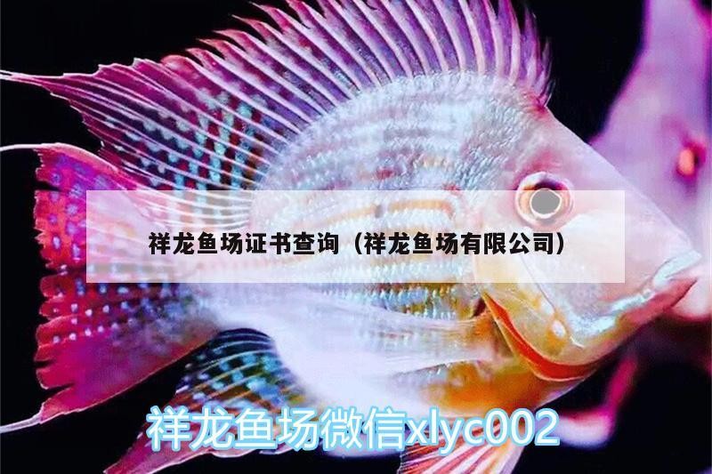 祥龍魚場證書查詢（祥龍魚場有限公司） 祥龍魚場證書查詢（祥龍魚場有限公司） vs祥龍魚場