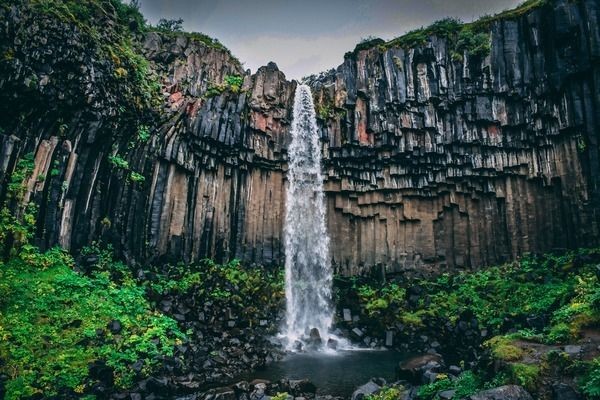 紅龍魚比賽的審美標(biāo)準(zhǔn)：紅龍魚市場(chǎng)價(jià)值評(píng)估：紅龍魚市場(chǎng)價(jià)值評(píng)估紅龍魚市場(chǎng)價(jià)值評(píng)估