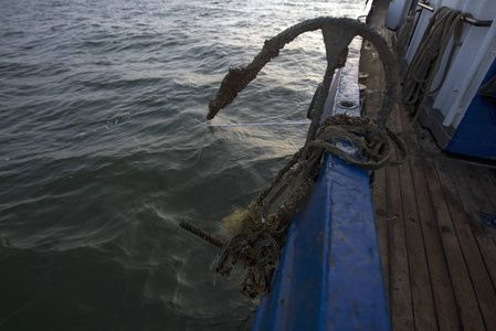 海虎魚的生活習性：水虎魚的毒性研究