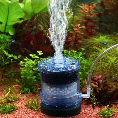 多魚(yú)缸一個(gè)過(guò)濾器并聯(lián)：如何將多個(gè)魚(yú)缸的過(guò)濾器并聯(lián)起來(lái)
