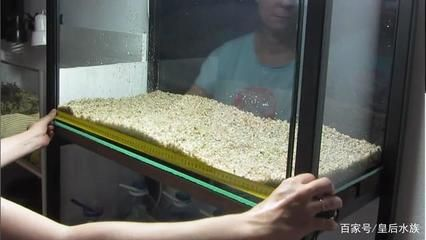 多大的魚缸養多少魚：如何確定多大的魚缸養多少魚