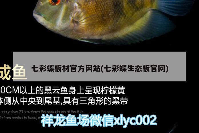 七彩蝶板材官方網站(七彩蝶生態板官網)