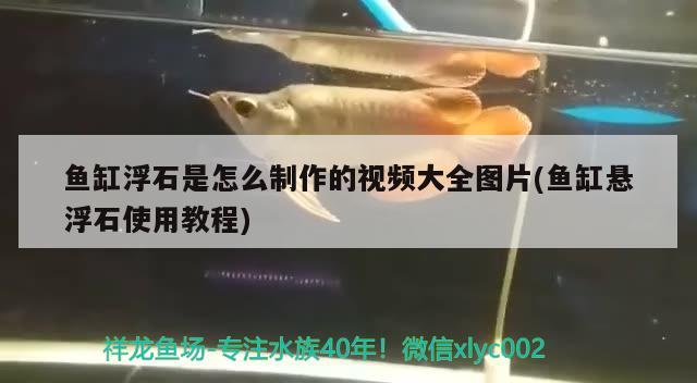 魚缸浮石是怎么制作的視頻大全圖片(魚缸懸浮石使用教程)