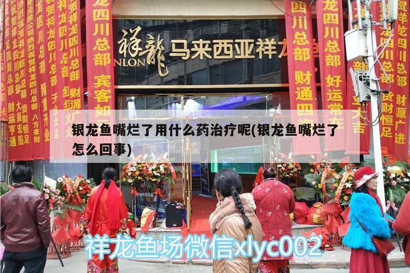 銀龍魚嘴爛了用什么藥治療呢(銀龍魚嘴爛了怎么回事)