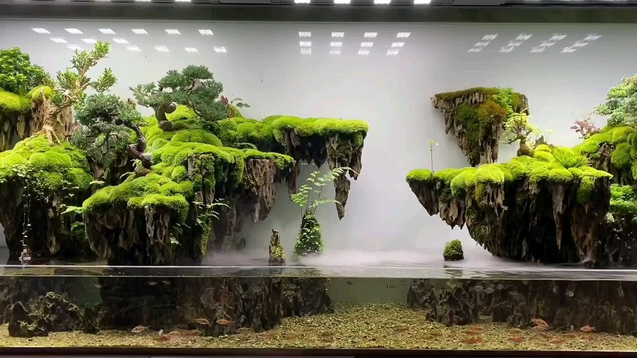 學(xué)員作品欣賞，本色水景～