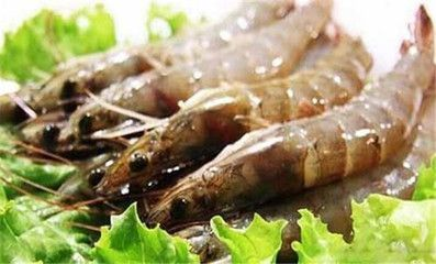 龍魚吃蝦的好處