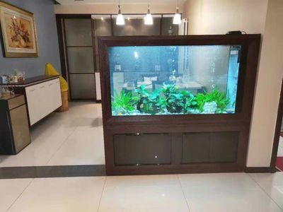 成品魚缸價格多少錢一個月：成品魚缸價格多少錢一個月需要明確“價格多少一個月”