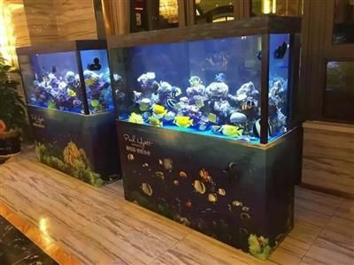 成品魚缸價格多少錢一個月：成品魚缸價格多少錢一個月需要明確“價格多少一個月”