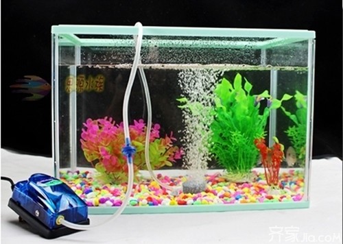 柜式金魚缸柜門壞了怎么辦?（魚缸柜門子碎了怎么辦）