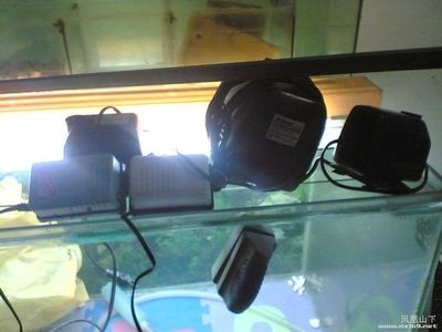 NEO魚缸：neo光水草燈魚缸使用方法
