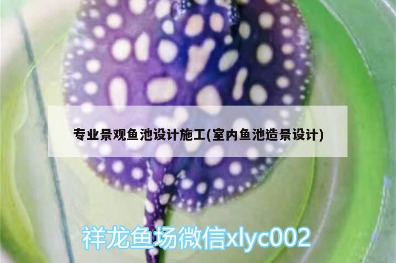專業景觀魚池設計施工(室內魚池造景設計)