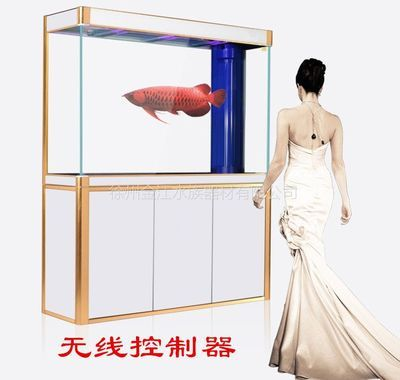 單面玻璃魚缸好不好：單面玻璃魚缸是一種高品質、多功能的新型高檔玻璃品種