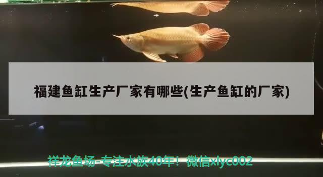 <strong><mark>福建</mark></strong>魚缸生產廠家有哪些(生產魚缸的廠家)