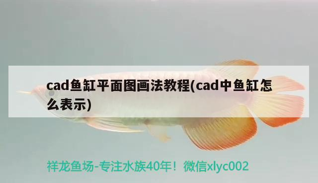 cad魚缸平面圖畫法教程(cad中魚缸怎么表示)