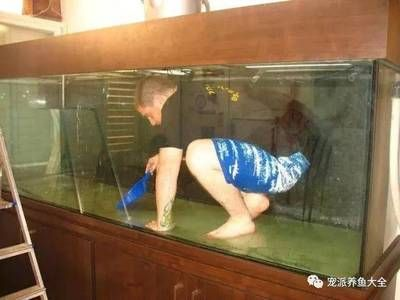 布景的魚缸怎么清理水垢視頻：在清理魚缸水垢時采用以下幾種方法和注意事項