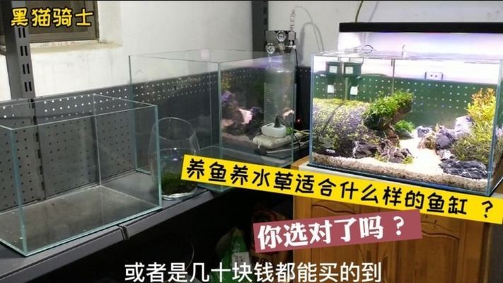 森森過濾盒安裝圖解（森森過濾盒怎樣放過濾材料）
