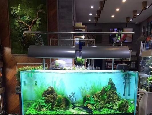 超白魚缸價(jià)格為什么不一樣：超白魚缸的價(jià)格差異