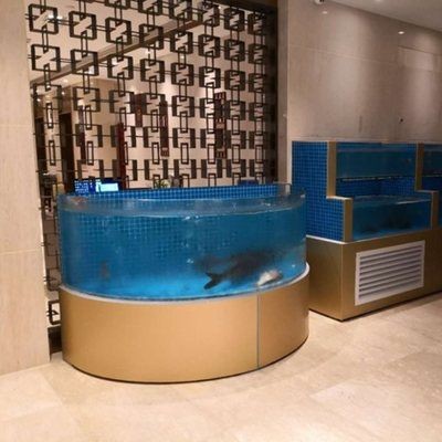 常平魚缸專賣店在哪里：常平海鮮魚缸專賣店