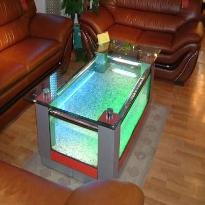 常平魚缸專賣店在哪里：常平海鮮魚缸專賣店